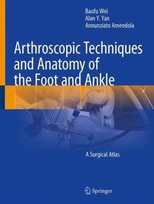 Arthroscopic Techniques and Anatomy of the Foot and Ankle: A Surgical Atlas de Baofu Wei