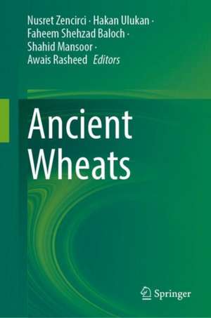 Ancient Wheats de Nusret Zencirci