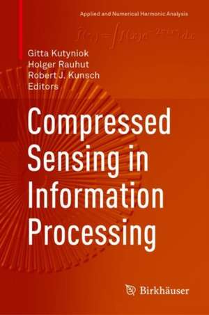 Compressed Sensing in Information Processing de Gitta Kutyniok