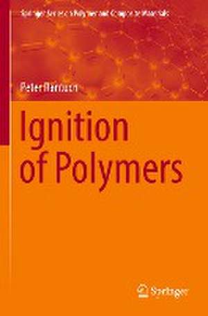 Ignition of Polymers de Peter Rantuch