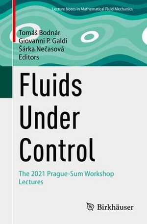 Fluids Under Control: The 2021 Prague-Sum Workshop Lectures de Tomáš Bodnár