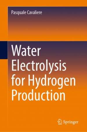 Water Electrolysis for Hydrogen Production de Pasquale Cavaliere