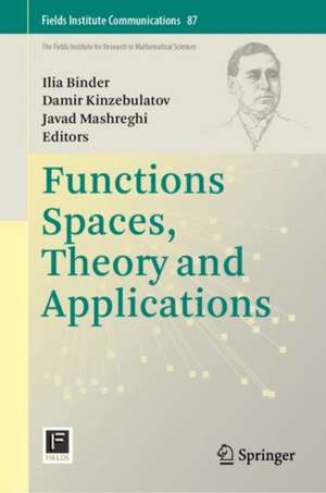 Function Spaces, Theory and Applications de Ilia Binder