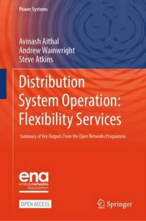 Distribution System Operation: Flexibility Services de Steve Atkins