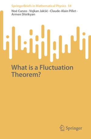 What is a Fluctuation Theorem? de Noé Cuneo