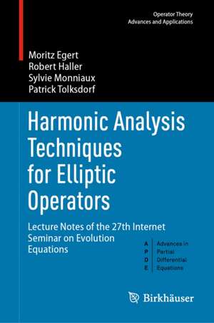 Harmonic Analysis Techniques for Elliptic Operators de Moritz Egert