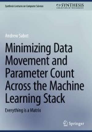 Minimizing Data Movement and Parameter Count Across the Machine Learning Stack de Andrew Sabot