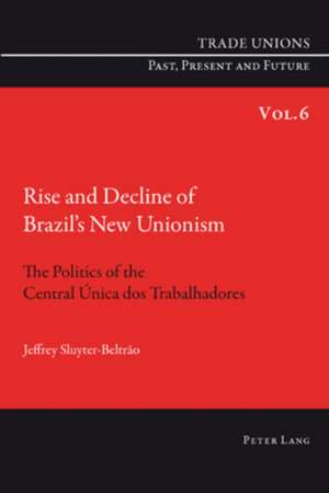 Rise and Decline of Brazil's New Unionism de Jeffrey Sluyter-Beltrão