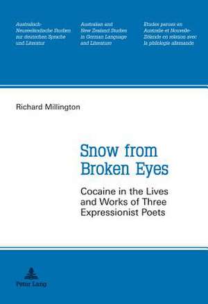 Snow from Broken Eyes de Richard Millington