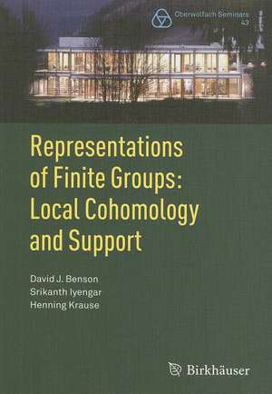 Representations of Finite Groups: Local Cohomology and Support de David J. Benson