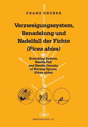 Verzweigungssystem, Benadelung und Nadelfall der Fichte (Picea abies): Branching System, Needle Fall and Needle Density of Norway Spruce (Picea abies) de GRUBER