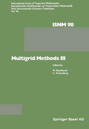 Multigrid Methods III de HACKBUSCH