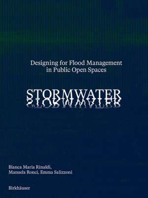 Stormwater de Bianca Maria Rinaldi