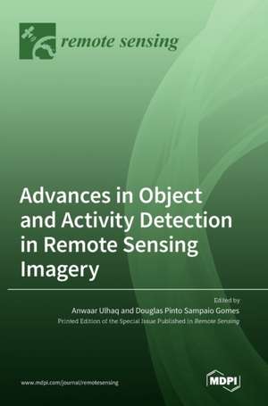 Advances in Object and Activity Detection in Remote Sensing Imagery