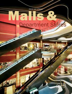 Malls & Department Stores, Volume 2: Churches, Synagogues, Mosques de Chris van Uffelen