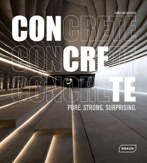 Concrete: Pure. Strong. Surprising de Chris van Uffelen