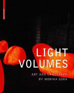Light Volumes: Art and Landscapes of Monika Gora de Lisa Diedrich