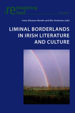 Liminal Borderlands in Irish Literature and Culture de Irene Gilsenan Nordin