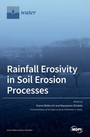 Rainfall Erosivity in Soil Erosion Processes