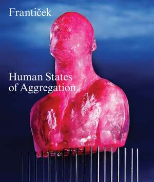 Franticek—Human States of Aggregation: I Melt, Therefore I Am! de Franticek Klossner