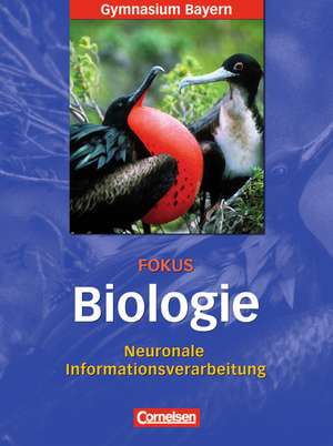 Fokus Biologie 12. Jahrgangsstufe. Neuronale Informationsverarbeitung. Oberstufe Gymnasium Bayern de Frank Scholz