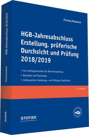 HGB-Jahresabschluss - Erstellung, prüferische Durchsicht und Prüfung 2018/19 de Dirk Fischer