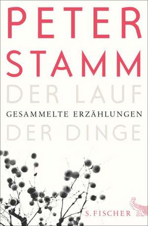 Der Lauf der Dinge de Peter Stamm