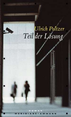 Teil der Lösung de Ulrich Peltzer