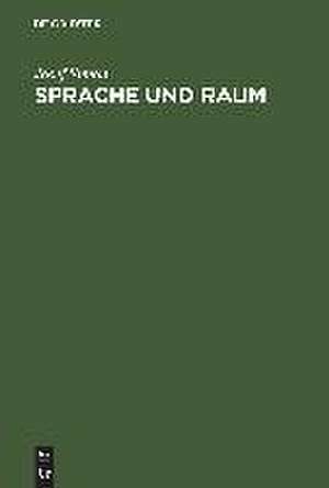 Sprache und Raum: Philosophische Untersuchungen zum Verhältnis zwischen Wahrheit und Bestimmtheit von Sätzen de Josef Simon