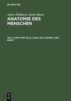 Kopf und Hals, Auge, Ohr, Gehirn, Arm, Brust de Anton Waldeyer