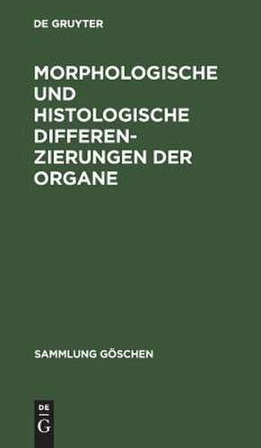 Morphologische und histologische Differenzierungen der Organe