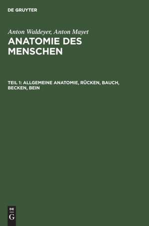 Allgemeine Anatomie, Rücken, Bauch, Becken, Bein de Anton Waldeyer