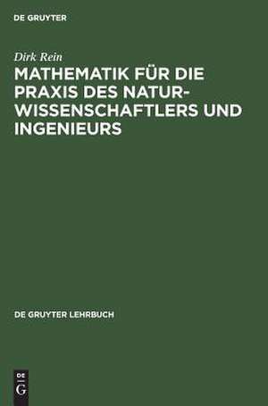 Mathematik für die Praxis des Naturwissenschaftlers und Ingenieurs de Dirk Rein