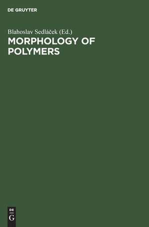 Morphology of Polymers: Proceedings, 17th Europhysics Conference on Macromolecular Physics, Prague, Czechoslovakia, July 15-18, 1985 de Blahoslav Sedlácek