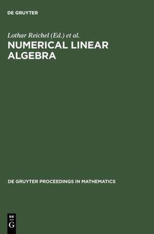 Numerical Linear Algebra: Proceedings of the Conference in Numerical Linear Algebra and Scientific Computation, Kent (Ohio), USA March 13-14, 1992 de Lothar Reichel