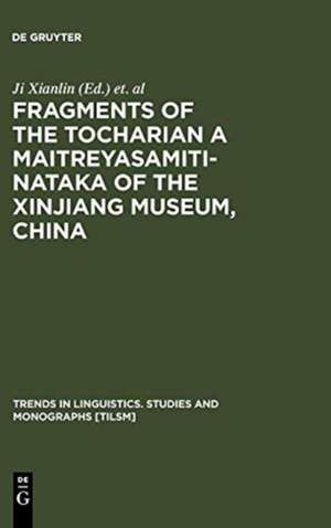 Fragments of the Tocharian A Maitreyasamiti-Nataka of the Xinjiang Museum, China de Xianlin Ji