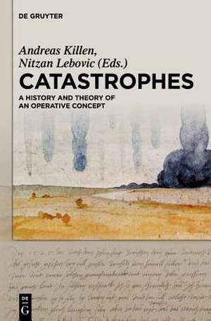 Catastrophes: A History and Theory of an Operative Concept de Nitzan Lebovic