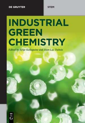 Industrial Green Chemistry de Serge Kaliaguine