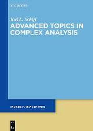 Schiff, J: Topics in Complex Analysis