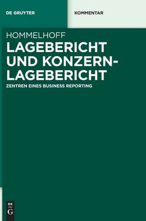 Lagebericht und Konzernlagebericht de Peter Hommelhoff