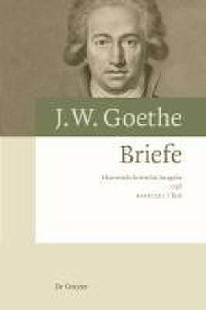 Johann Wolfgang von Goethe: Briefe 1798 de Yvonne Pietsch