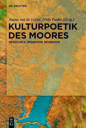 Kulturpoetik des Moores de Joana van de Löcht