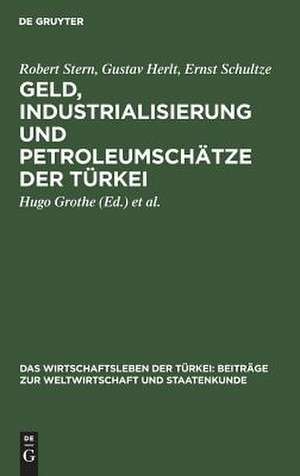 Geld, Industrialisierung und Petroleumschätze der Türkei: aus: Das Wirtschaftsleben der Türkei : Beiträge zur Weltwirtschaft und Staatenkunde, Bd. 2 de Robert Stern