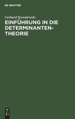 Einführung in die Determinantentheorie: einschließlich der Fredholmschen Determinanten de Gerhard Kowalewski