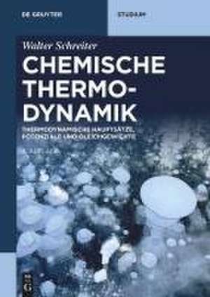 Chemische Thermodynamik de Walter Schreiter