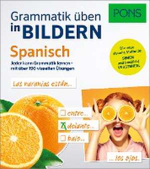 PONS Grammatik üben in Bildern Spanisch