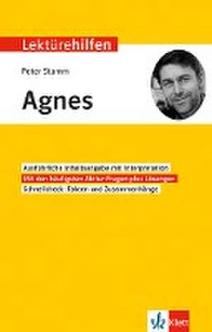 Lektürehilfen Peter Stamm "Agnes" de Johannes Wahl