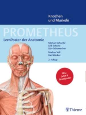 PROMETHEUS LernPoster der Anatomie, Knochen und Muskeln de Erik Schulte