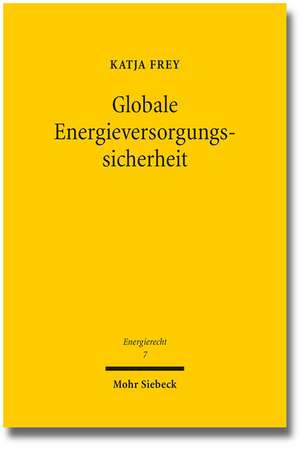 Globale Energieversorgungssicherheit de Katja Frey