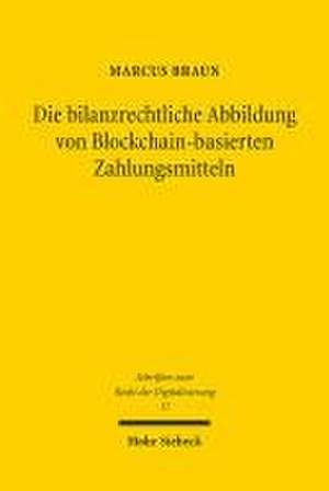 Die bilanzrechtliche Abbildung von Blockchain-basierten Zahlungsmitteln de Marcus Braun